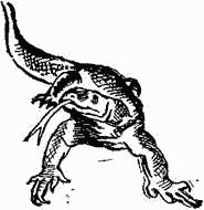 Игорь Акимушкин - Следы невиданных зверей