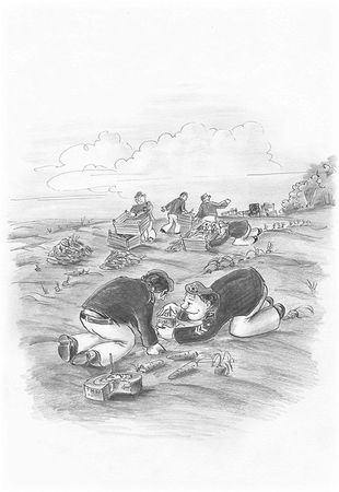 Александр Саркисов - Система (сборник)