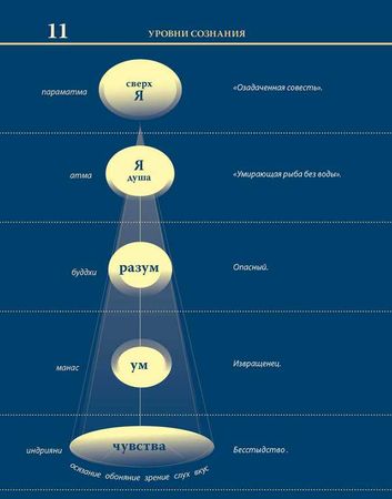 Александр Хакимов - Уровни сознания. Структура человеческой личности. Размышления