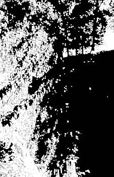 Анатолий Тарас - Воины-тени: Ниндзя и ниндзюцу