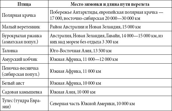 Андрей Чернявский, Дмитрий Ковальчук - Краткий справочник необходимых знаний