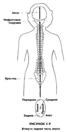 Мантэк Чиа, Мэниван Чиа - Совершенствование женской сексуальной энергии