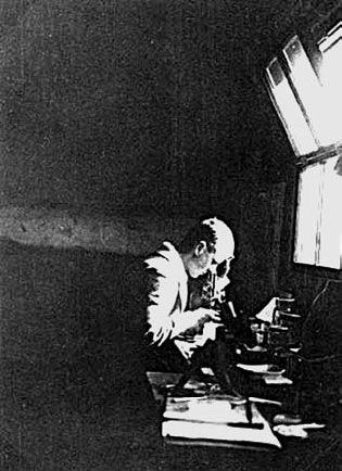 Шон Кэрролл - Закон "джунглей". В поисках формулы жизни