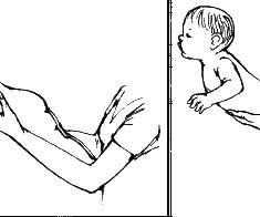 Елена Исаева - Детский массаж. Поэтапное руководство