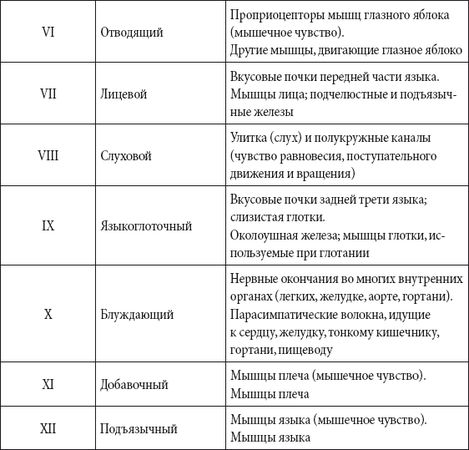 Андрей Чернявский, Дмитрий Ковальчук - Краткий справочник необходимых знаний