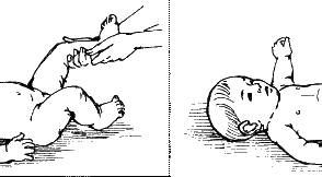 Елена Исаева - Детский массаж. Поэтапное руководство