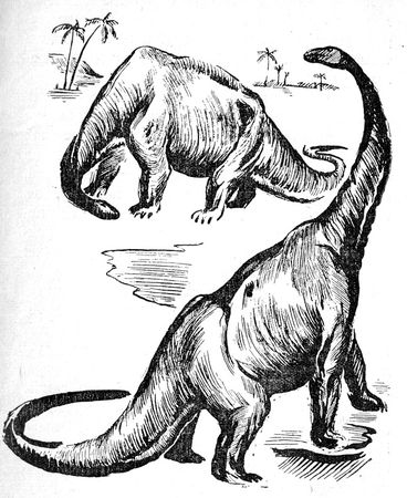 Николай Плавильщиков - Бронтозавр