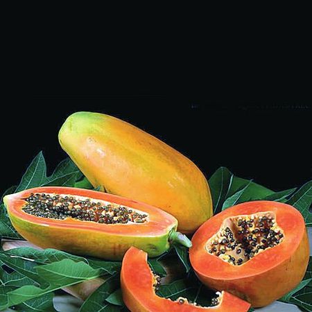 Татьяна Дорошенко - Целебные растения