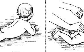 Елена Исаева - Детский массаж. Поэтапное руководство