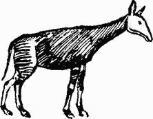 Игорь Акимушкин - Следы невиданных зверей