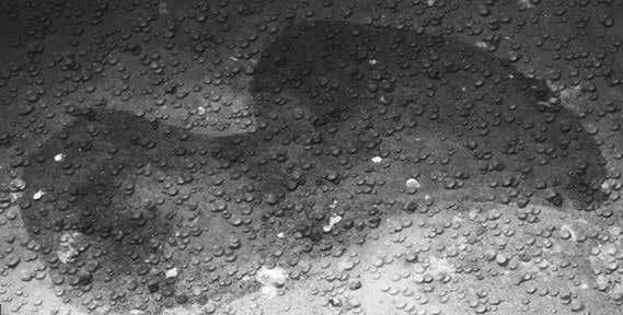 Павел Тюрин - Legenda о "писающем британце"