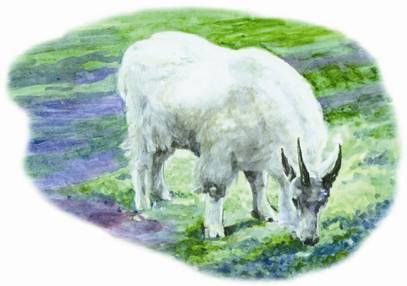 Юлия Рычкова - Вымершие животные