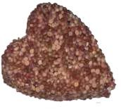 Иммануэль Бирмелин - Волнистые попугаи