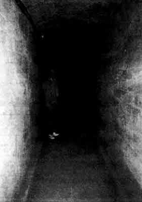 Джозеф Фаррелл - Братство "Колокола". Секретное оружие СС