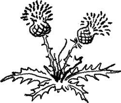 Ирина Маркова - Стихотерапия