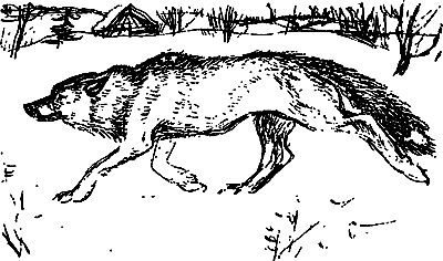 Сергей Покровский, Александр Линевский и др. - Жертвы дракона