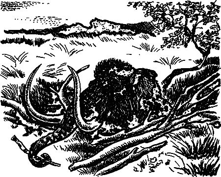 Сергей Покровский, Александр Линевский и др. - Жертвы дракона