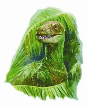 Юлия Рычкова - Вымершие животные