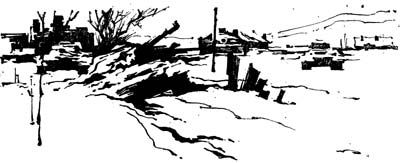 Вадим Данилов - Временно исполняющий