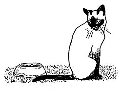 Дорин Тови - Появление Сесса