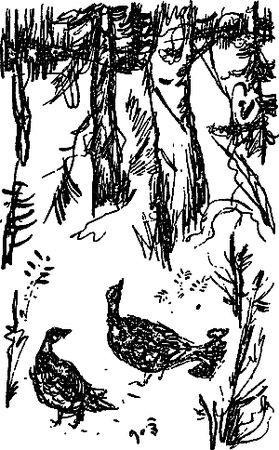 Сергей Покровский, Александр Линевский и др. - Жертвы дракона