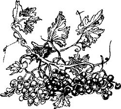 Василий Жуковский - Стихотворения и баллады