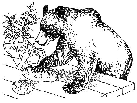 Дорин Тови - Появление Сесса