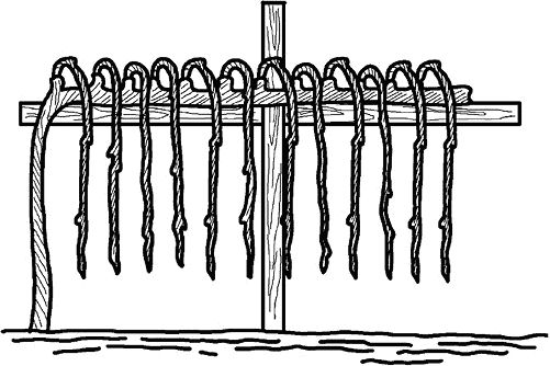 Николай Анисимов - Умный виноградник без хлопот