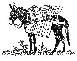 Дорин Тови - Появление Сесса