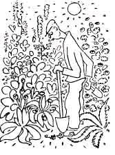 Карел Чапек - Год садовода