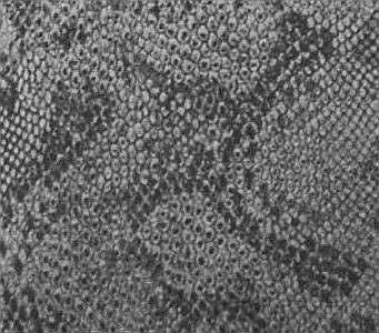 Павел Тюрин - Legenda о "писающем британце"