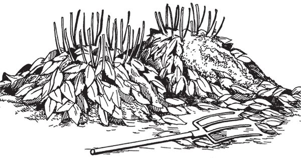 Сергей Кашин - Сезонные работы. Как после долгой зимы вырастить богатый урожай