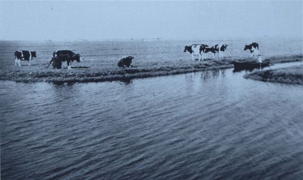 Андре Моруа - Голландия