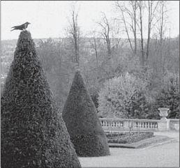 Инесса Свирида - Метаморфозы в пространстве культуры