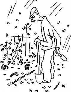 Карел Чапек - Год садовода