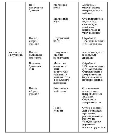 Наталья Иванова - Борьба с вредителями