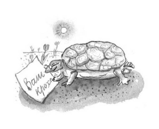 Марина Москвина - Загогулина