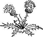 Стихотерапия