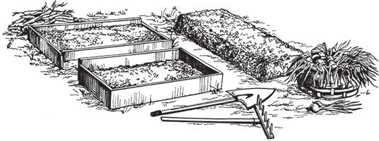 Сергей Кашин - Сезонные работы. Как после долгой зимы вырастить богатый урожай
