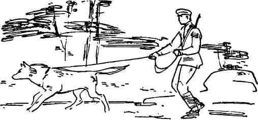 Анатолий Чехов - След в пустыне