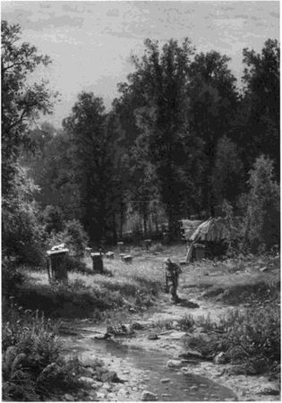 Наталия Будур - Повседневная жизнь колдунов и знахарей в России XVIII-XIX веков