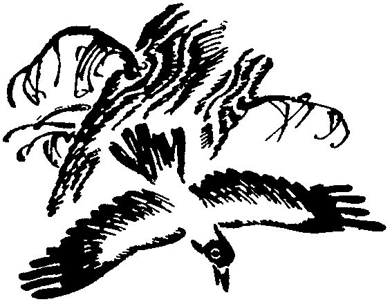 Софья Радзиевская - Лесная быль. Рассказы и повести