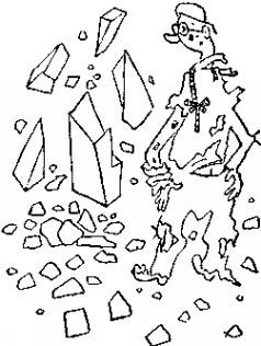 Карел Чапек - Год садовода