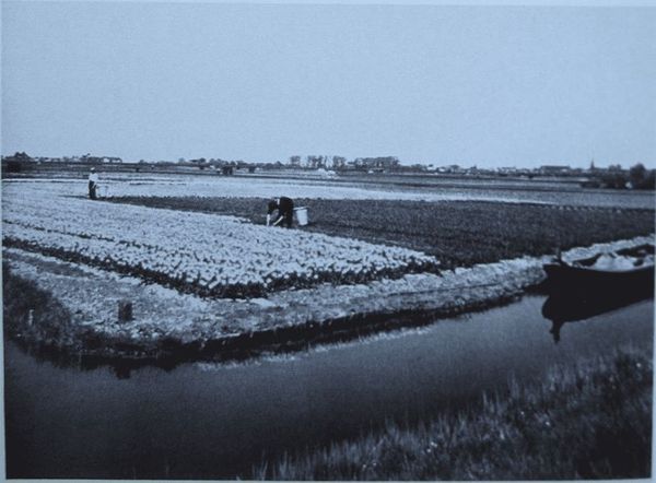 Андре Моруа - Голландия