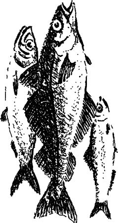 Сергей Покровский, Александр Линевский и др. - Жертвы дракона