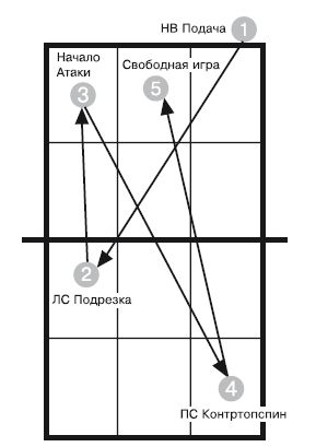 Ю. Милоданова, В. Жданов и др. - Обучение настольному теннису за 5 шагов