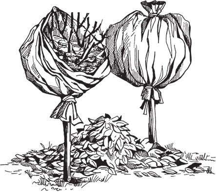 Сергей Кашин - Сезонные работы. Как после долгой зимы вырастить богатый урожай