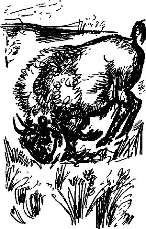 Сергей Покровский, Александр Линевский и др. - Жертвы дракона