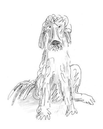 Марина Москвина - Загогулина