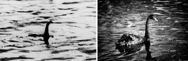 Павел Тюрин - Legenda о "писающем британце"